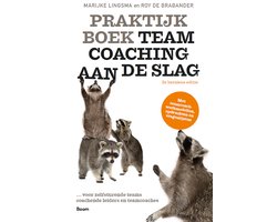 Praktijkboek Teamcoaching, aan de slag