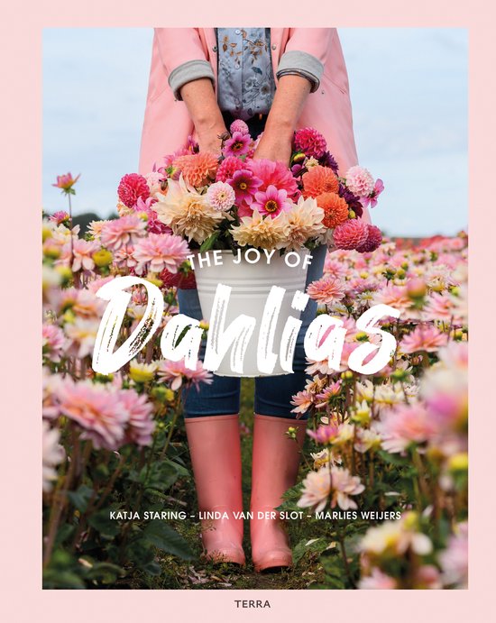 Een persoon in een roze jas en laarzen houdt een emmer vast met een grote bos dahlias in verschillende roze en oranje tinten.