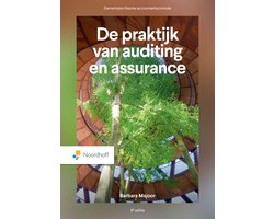 De praktijk van auditing en assurance - 9e editie