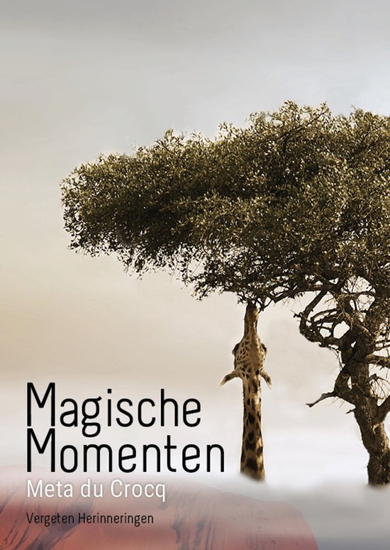 Vergeten Herinneringen - Magische momenten - cover