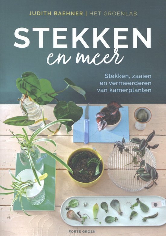 Stekken en meer – Judith Baehner