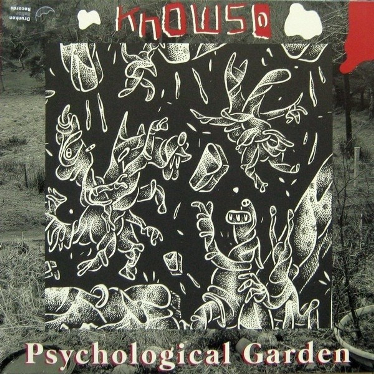 Knowso - Psychological Garden & Rare Auld Trip (LP)