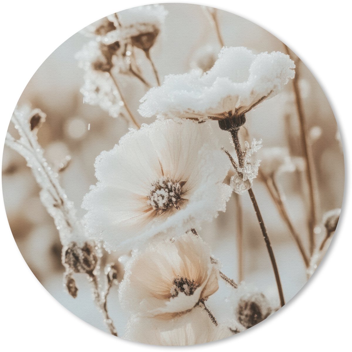 Muismat rond 20x20 cm - Mousepad Bloemen - Winter - Wit - Sneeuw - Beige - Ronde muismatten