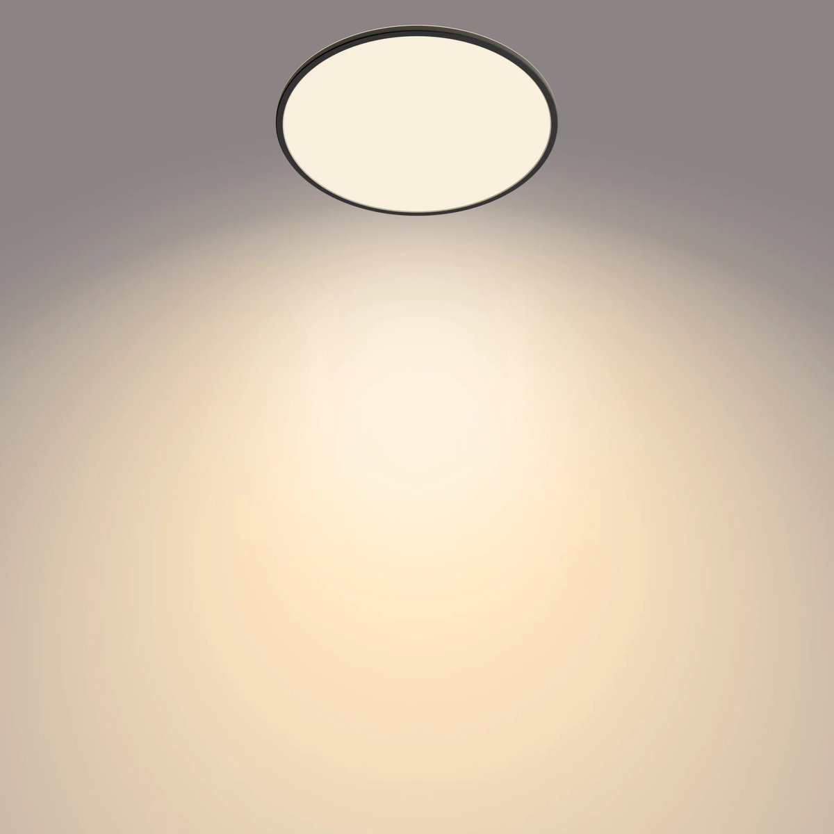 Philips Superslim Buitenshuis plafond verlichting LED Zwart 8719514417977 Philips Superslim Buitenshuis plafond verlichting LED Zwart 8719514417977