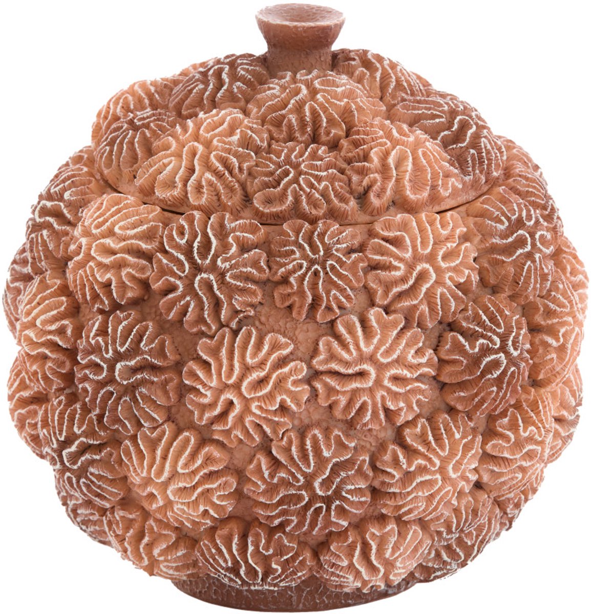 Deco box+deksel CORAL - Ø17x16cm - Bruin