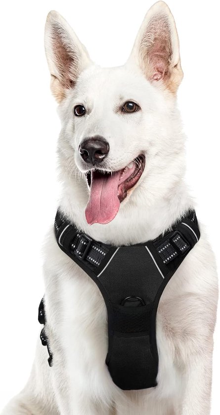 Reddingsvest voor Honden met Exclusief Borduurwerk - 2 RVS Ringetjes Reddingsvest voor Honden met Exclusief Borduurwerk - 2 RVS Ringetjes
