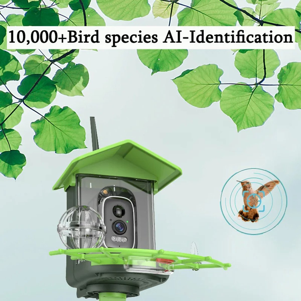 Berger & Schröter Vogelvoederhuis Met 1080p Camera, Waterbad Op Zonne Energie 940 Nm Ir Led Automatische Video Foto Opname Van Vogels Bewegingsdetectie Nachtzicht 750763598