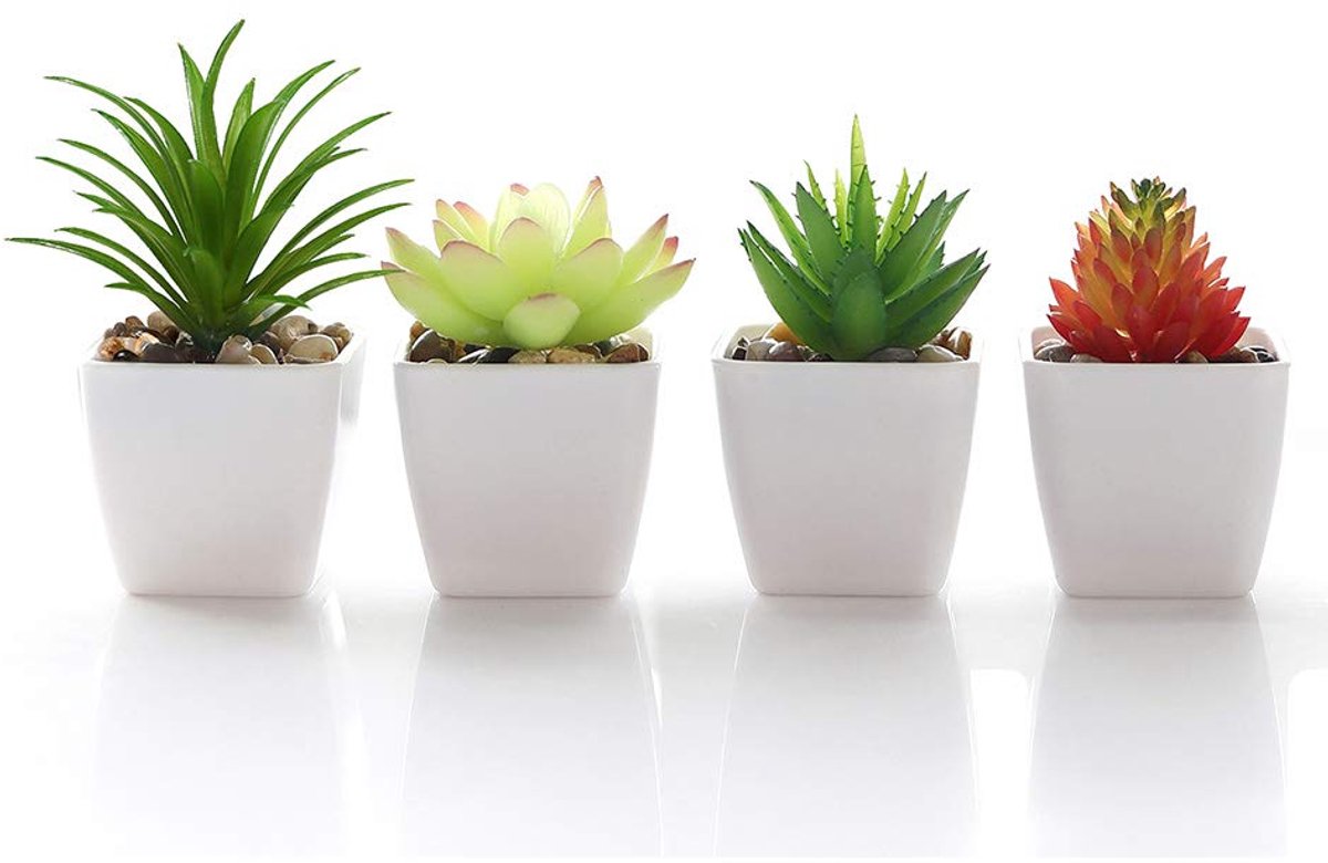 Ibenzoa Kunstmatige Mini Vetplanten in Moderne Vierkante Witte Bloempot voor Stijlvolle Interieurdecoratie