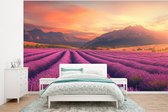 Behang - Fotobehang Lavendelveld - Zonsondergang - Paars - Breedte 320 cm x hoogte 240 cm