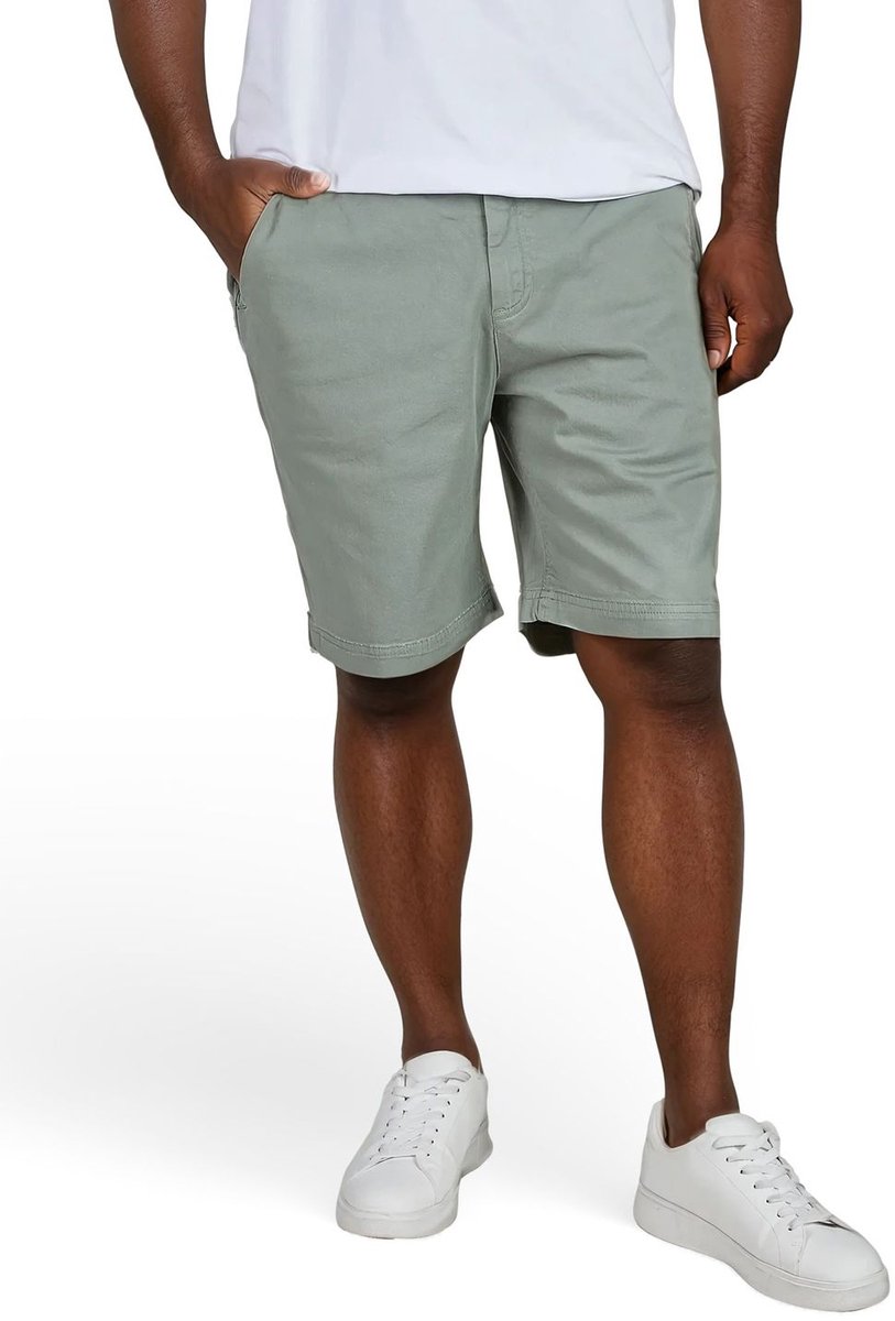 riverso Heren Short RIVConnor regular/straight Groen M Volwassenen Stretch zomershort