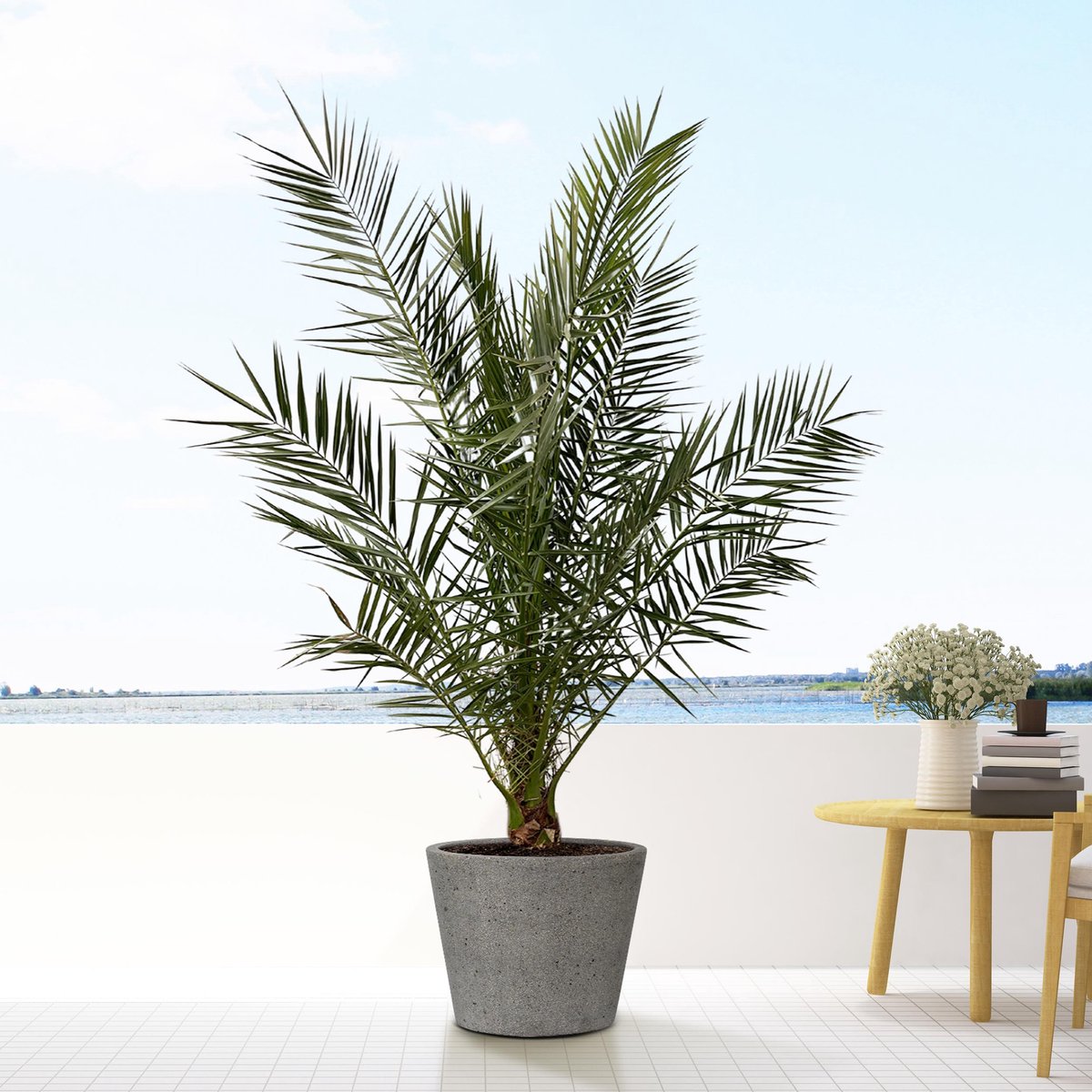 Bucket Laterite Grey - L - 58x50