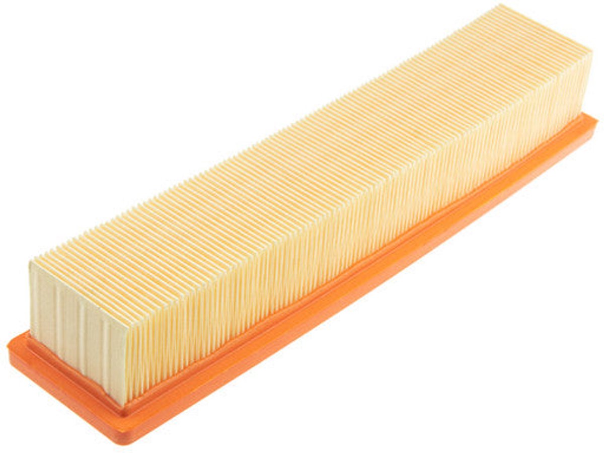 Luchtfilter OEM 165461599R