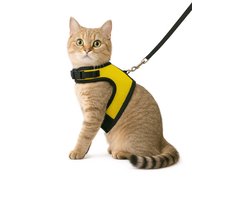 Zootic kattentuigje met looplijn - Kattenharnas geel maat M - Halsomvang 18-24cm & Borstomvang 28-32cm