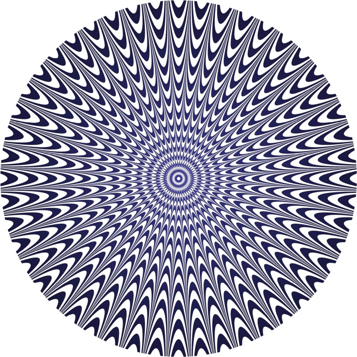 KOSMOS Brain Tricks - Experimenteerset - Ontdek Optische Illusies en Hoe Je Hersenen Werken - 20 Breinexperimenten - STEM Speelgoed - Vanaf 8 Jaar — afbeelding 6