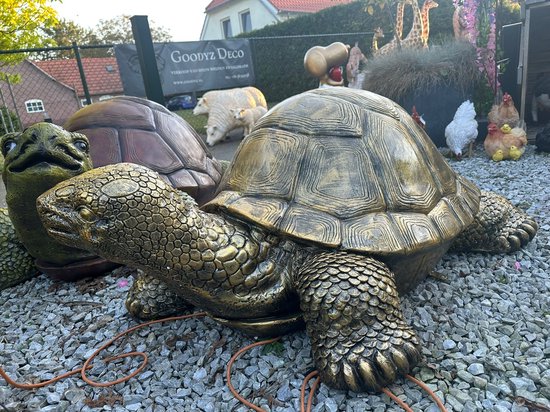 Sculpture dorée d'une grande tortue à carapace marron sur gravier, avec d'autres statues en arrière-plan.