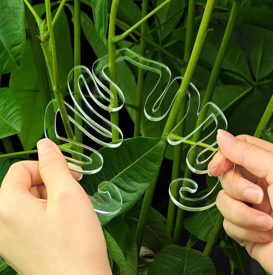 Handen plaatsen transparante, blad-vormige plantensteunen rondom plantenstelen.
