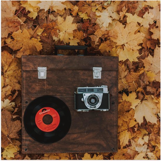 Poster (Mat) - Muziekplaat en Vintage Camera op Koffer tussen de Herfstbladeren - 80x80 cm Foto op Posterpapier met een Matte look