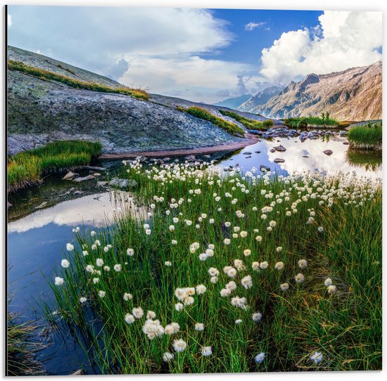 Dibond - Bergen - Water - Planten - Bloemen - Wolken - 50x50 cm Foto op Aluminium (Met Ophangsysteem)