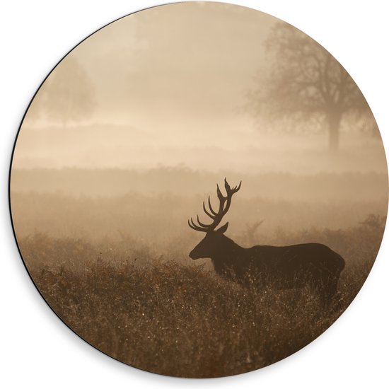 Dibond Muurcirkel - Hert in mistige omgeving in een weiland met hoog gras - 50x50 cm Foto op Aluminium Muurcirkel (met ophangsysteem)