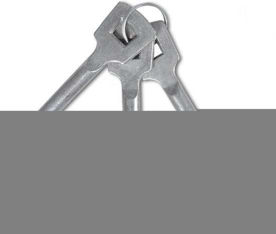 vidaXL - Poort - gepoedercoat - staal