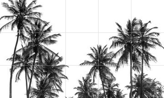 IXXI Palm Trees in Africa - Wanddecoratie - Fotografie - 100 x 60 cm