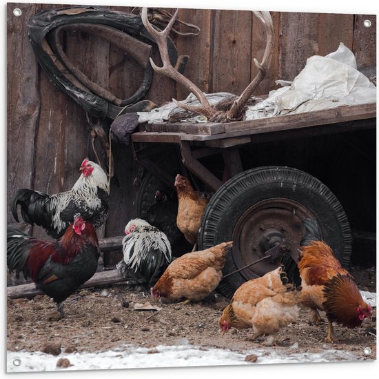 Tuinposter – Groepje Kippen Lopend bij Wagen op Boerderij - 100x100 cm Foto op Tuinposter (wanddecoratie voor buiten en binnen)