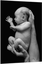 Acrylglas - Pasgeboren Baby in Handen van Vader (Zwart- wit) - 100x150 cm Foto op Acrylglas (Wanddecoratie op Acrylaat)