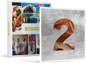 Bongo Bon - LEDEREN BRUILOFT: GELUKKIGE 2DE HUWELIJKSVERJAARDAG! - Cadeaukaart cadeau voor man of vrouw