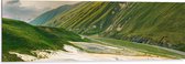 Dibond - Paarse Bloemen op Top van Hoge Bergen - 120x40 cm Foto op Aluminium (Met Ophangsysteem)