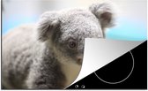 KitchenYeah® Inductie beschermer 81x52 cm - Koala - Portret - Dier - Kinderen - Jongens - Meiden - Kookplaataccessoires - Afdekplaat voor kookplaat - Inductiebeschermer - Inductiemat - Inductieplaat mat