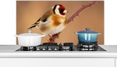 Spatscherm keuken 100x50 cm - Kookplaat achterwand Putter - Vogel - Dieren - Muurbeschermer - Spatwand fornuis - Hoogwaardig aluminium