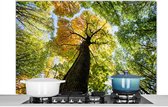 Spatscherm keuken 120x80 cm - Kookplaat achterwand Boom - Natuur - Bos - Muurbeschermer - Spatwand fornuis - Hoogwaardig aluminium