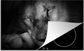 KitchenYeah® Inductie beschermer 78x52 cm - Dierenprofiel slapende leeuw in zwart-wit - Kookplaataccessoires - Afdekplaat voor kookplaat - Inductiebeschermer - Inductiemat - Inductieplaat mat