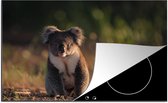 KitchenYeah® Inductie beschermer 77x51 cm - Koala - Zon - Dier - Kids - Jongens - Meiden - Kookplaataccessoires - Afdekplaat voor kookplaat - Inductiebeschermer - Inductiemat - Inductieplaat mat