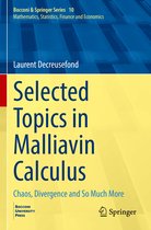 Bocconi & Springer Series- Selected Topics in Malliavin Calculus