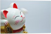 Vlag - Japans Maneki Neko Kattenbeeldje in het Rood met Wit en Goud - 60x40 cm Foto op Polyester Vlag