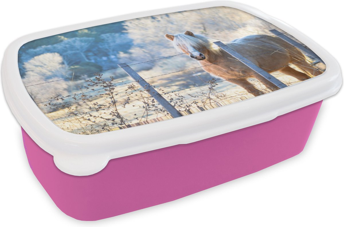 Broodtrommel Roze - Lunchbox - Brooddoos - Paard - Winter - Sneeuw - 18x12x6 cm - Kinderen - Meisje