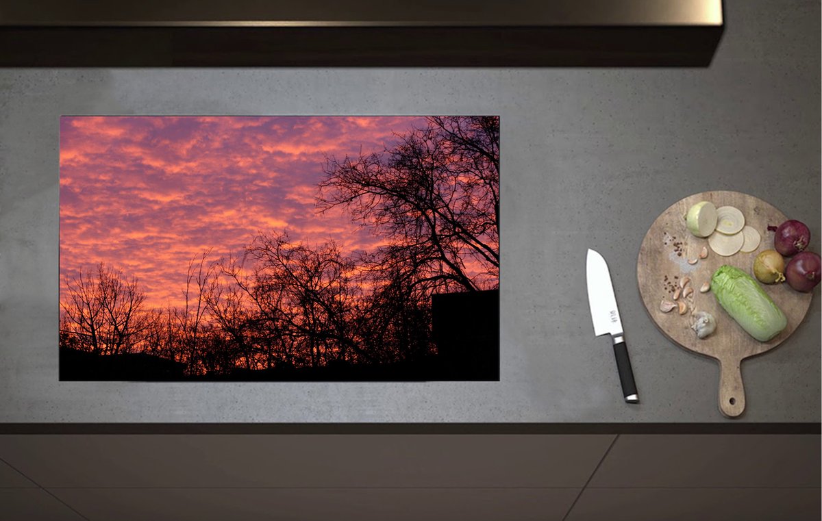 Inductieplaat Beschermer - Silhouet van Bomen onder Roze met Paarse Lucht - 80x52 cm - 2 mm Dik - Inductie Beschermer van Vinyl