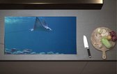 Inductieplaat Beschermer - Rog met Lange Staart Zwemmend langs School Vissen in de Oceaan - 90x52 cm - 2 mm Dik - Inductie Beschermer van Vinyl
