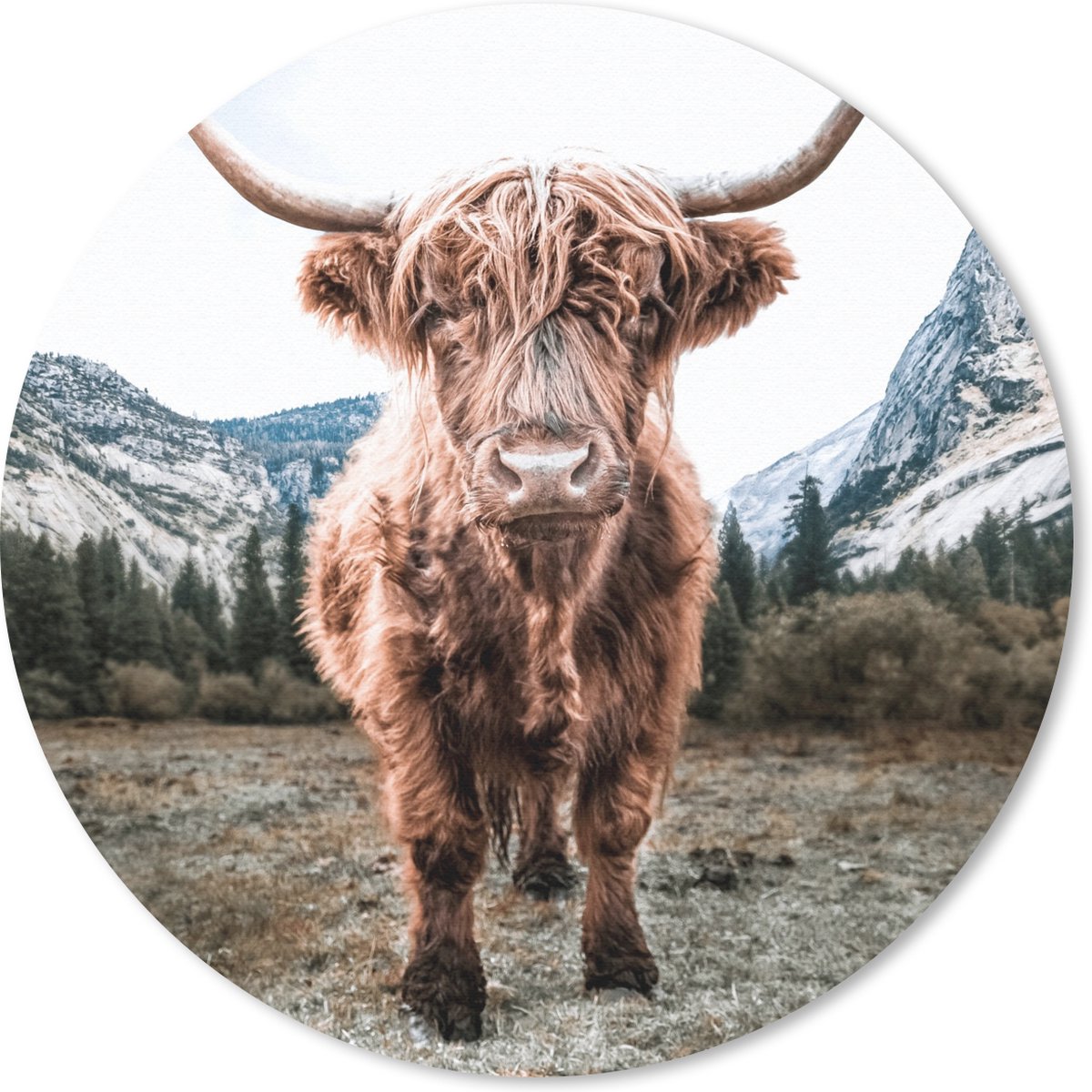 Muismat rond 20x20 cm - Mousepad Schotse Hooglander - Berg - Dieren - Ronde muismatten