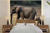 Behang - Fotobehang Kind rent achter moeder olifant aan - Breedte 350 cm x hoogte 350 cm