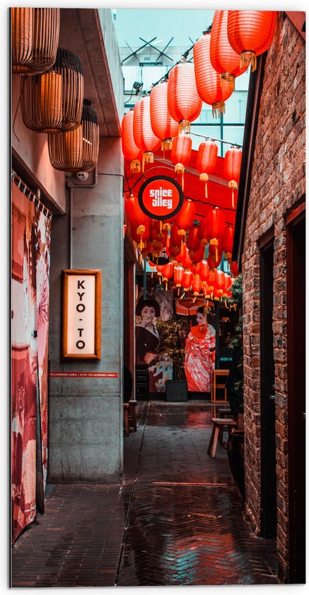 Dibond - Smalle Straat Versierd met Rode Lampionnen in Tokyo - 50x100 cm Foto op Aluminium (Met Ophangsysteem)
