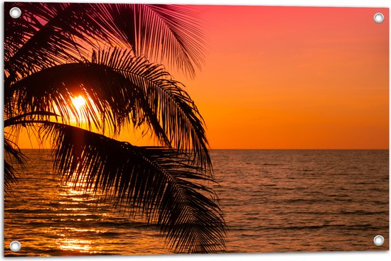 Tuinposter – Tropische Zonsondergang met Palmboom - 75x50 cm Foto op Tuinposter (wanddecoratie voor buiten en binnen)