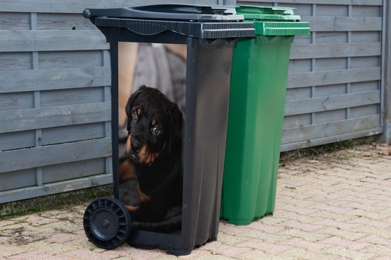Container sticker Een Rottweiler puppy op een zwart kleed - 44x98 cm - Kliko sticker