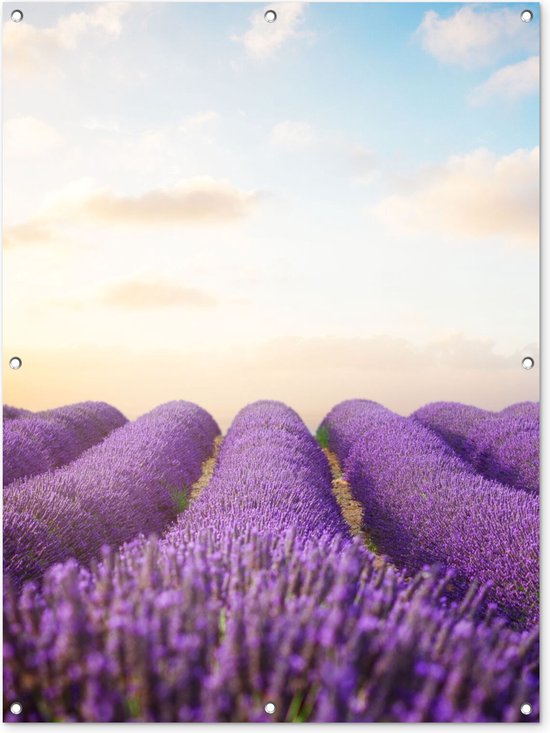 Tuinposter - Tuin - Lavendel - Lucht - Wolken - 90x120 cm - Tuinschilderij - Muurdecoratie - Wanddecoratie - Tuindoek - Buitenposter