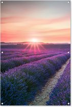 Tuinposter - Lavendel - Bloemen - Paars - Tuin - 80x120 cm - Tuinschilderij - Schuttingdoek - Tuindecoratie - Tuindoek - Buitenposter