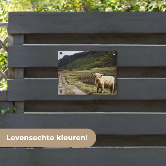 Décoration de Jardin Highlander écossais - Chemin - Forêt - 40x30 cm - Toile de jardin - Poster extérieur