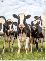 Tableau jardin Vaches - Pâturage - Animaux - Nature - Herbe - 60x80 cm - Affiche jardin - Toile jardin - Affiche extérieur