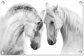 Tuindecoratie Paard - Dieren - Portret - Wit - 60x40 cm - Tuinposter - Tuindoek - Buitenposter