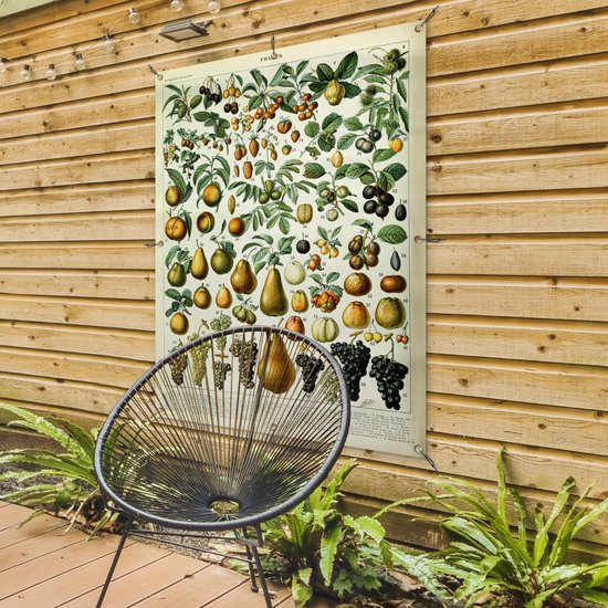 Affiche de jardin Fruit - Poire - Raisin - 90x120 cm